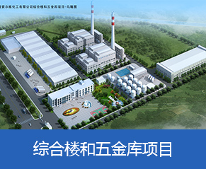 青島海灣索爾維化工有限公司綜合樓和五金庫(kù)項(xiàng)目—鳥瞰圖
